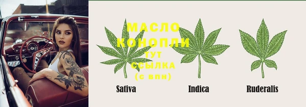 сатива Бугульма