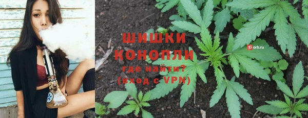 сатива Бугульма