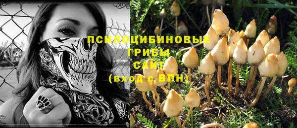 мдма Бронницы