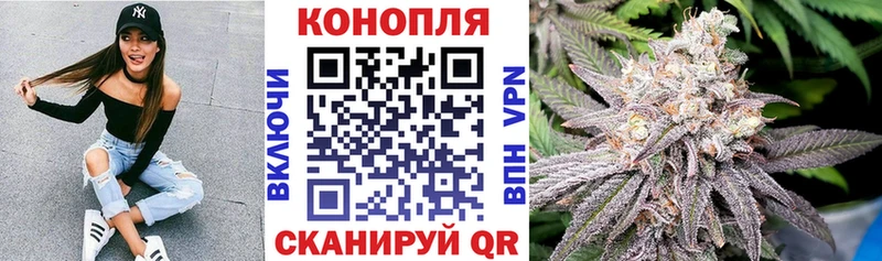 Шишки марихуана OG Kush  Сретенск 
